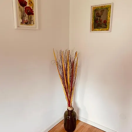 Apartment Haus Lana