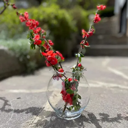 Haus Lana Appartement